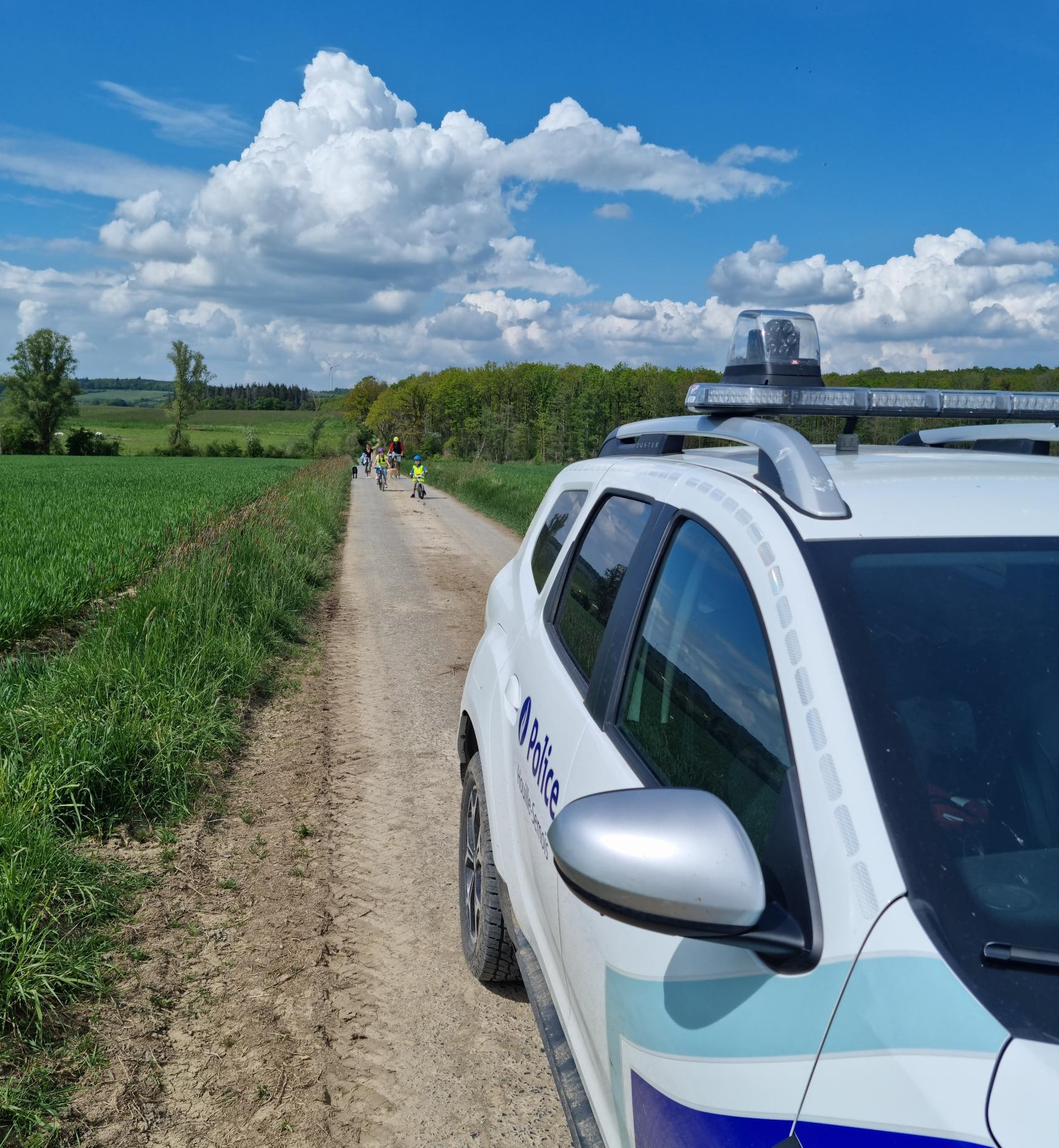 voiture environnement