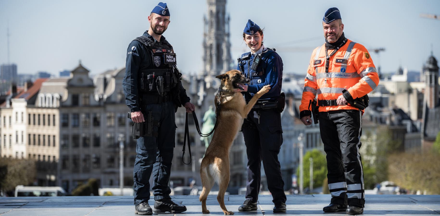 A8DFC84046F8B6647C0221F9 Jobinfodag Limburgse Politieschool PLOT_header