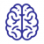 Cognitieve vaardigheidsproef