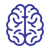Cognitieve vaardigheidsproef