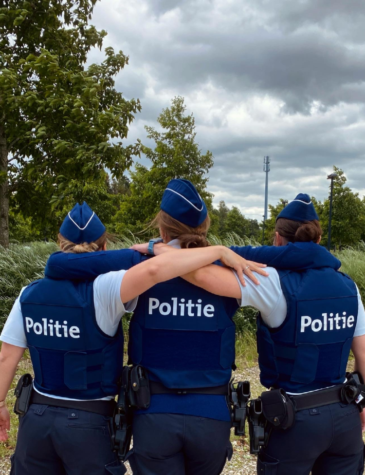 collegialiteit