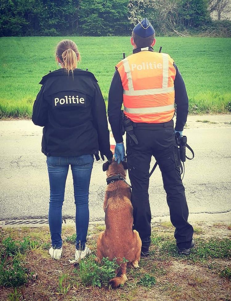 Inspecteurs en hond