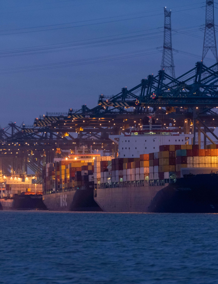 Environnement du port (Ant)