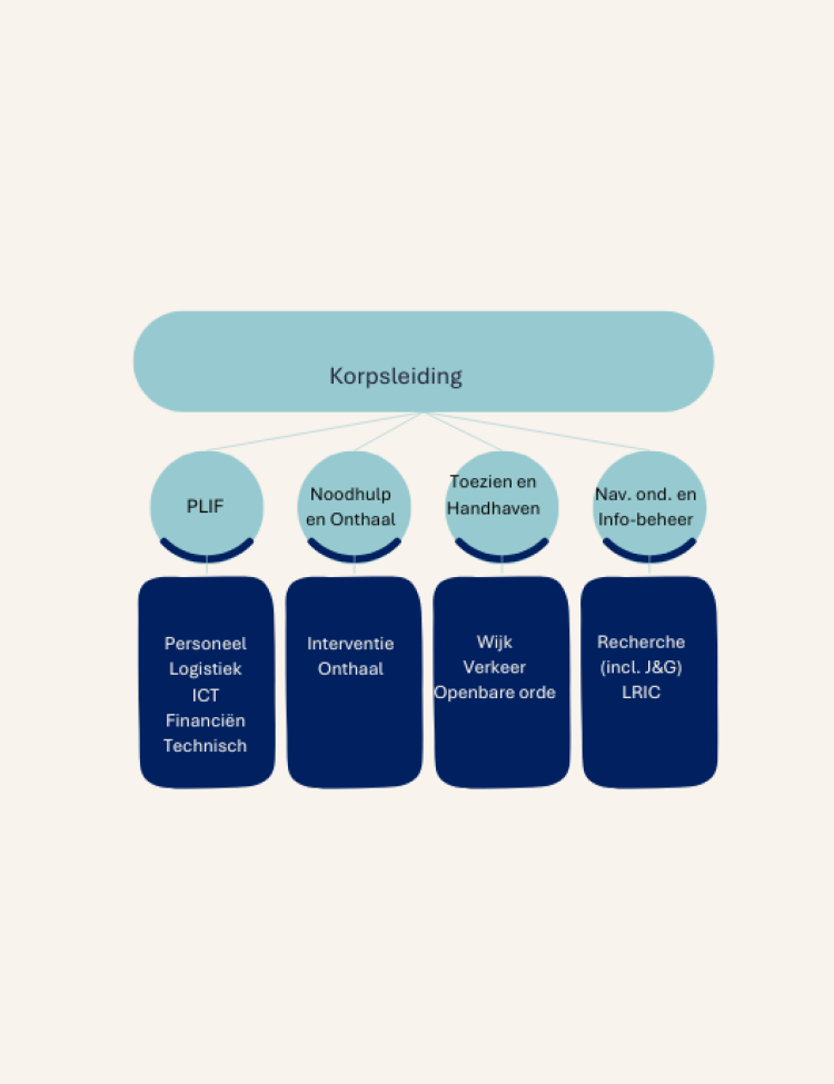 organogram