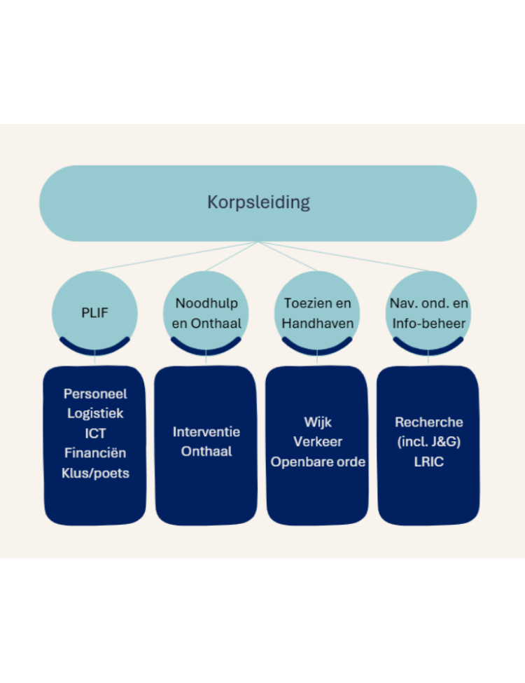 Organogram
