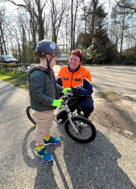 Wijkinspecteur