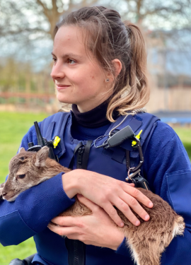 Dierenwelzijn