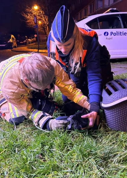 Poes wordt beademd na brand