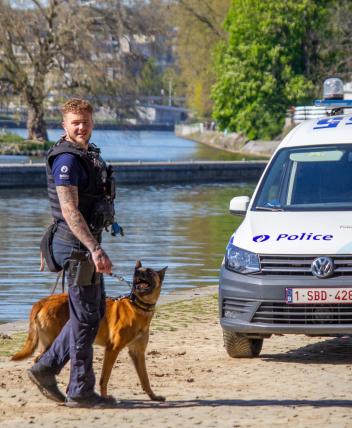 Brigade canine